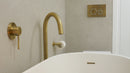 Meir Sigma 21 Dual Flush Plates for Geberit - Tiger Bronze PVD