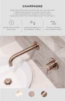 Meir High Rise Shower Arm - Champagne