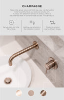 Glass to Wall Shower Door Hinge - Champagne