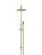 Round Combination Shower Rail, 200mm Rose, Single Function Hand Shower - PVD Tiger Bronze