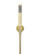 Round Hand Shower on Fixed Bracket - PVD Tiger Bronze