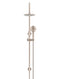 Round Gooseneck Shower Set with 200mm rose, Three-Function Hand Shower - Champagne