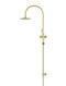 Round Gooseneck Shower Set with 200mm rose, Three-Function Hand Shower - Tiger Bronze