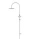 Meir Round Gooseneck Shower Set with 200mm rose, Single-Function Hand Shower - Polished Chrome