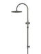 Round Gooseneck Shower Set with 300mm rose, Single-Function Hand Shower - Shadow Gunmetal